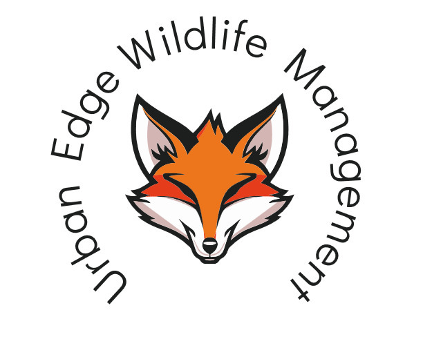 Urban Edge Wildlife Management
