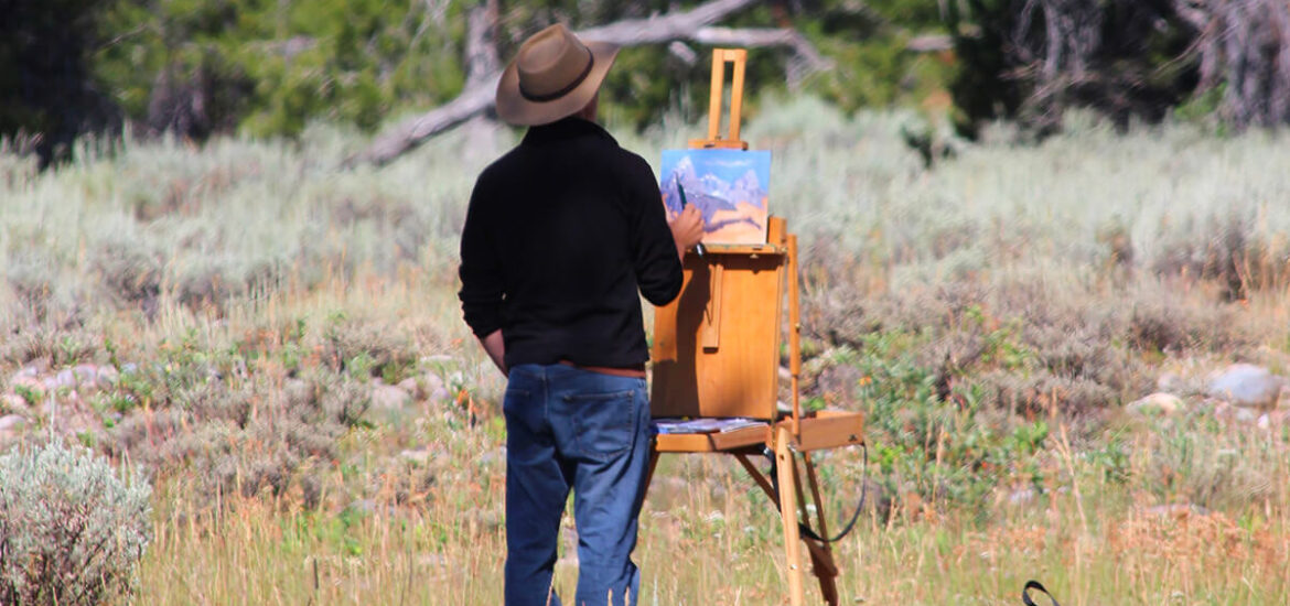 How Councils Can Effectively Manage Pigeon Infestations