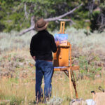 How Councils Can Effectively Manage Pigeon Infestations