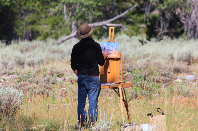 How Councils Can Effectively Manage Pigeon Infestations