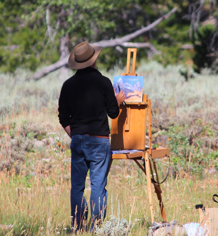 How Councils Can Effectively Manage Pigeon Infestations
