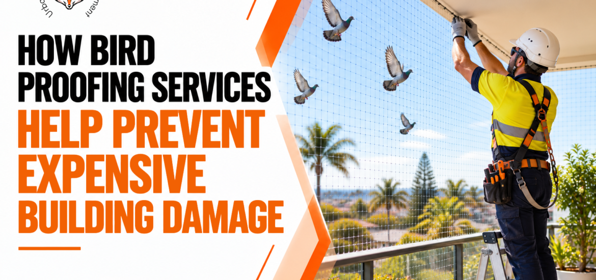 Bird Proofing