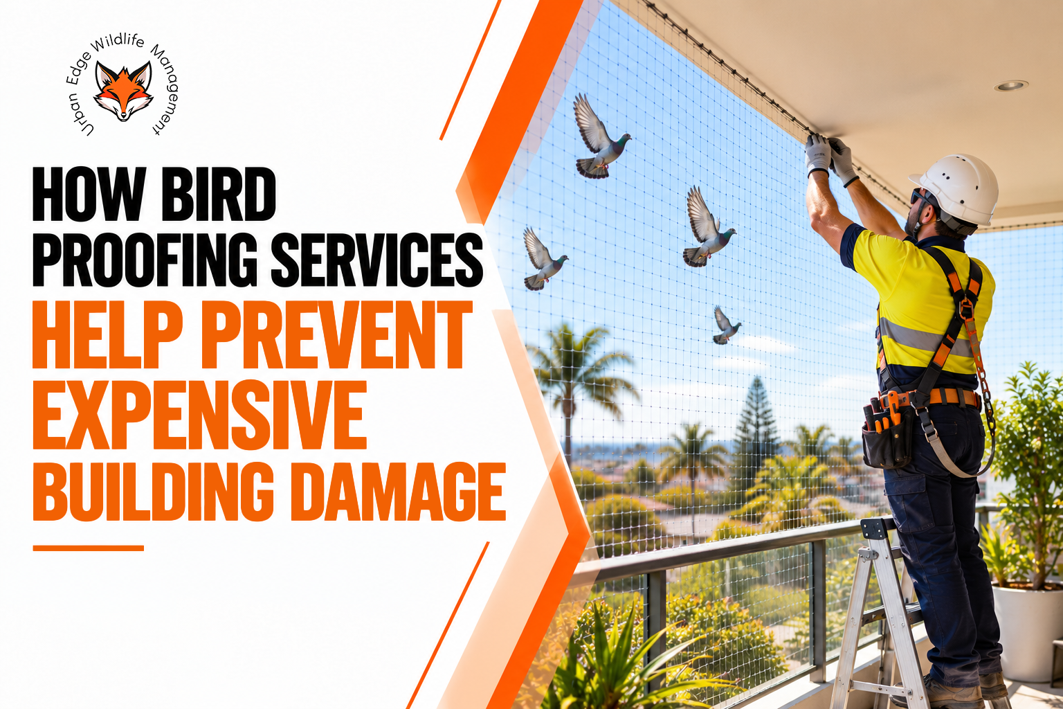Bird Proofing