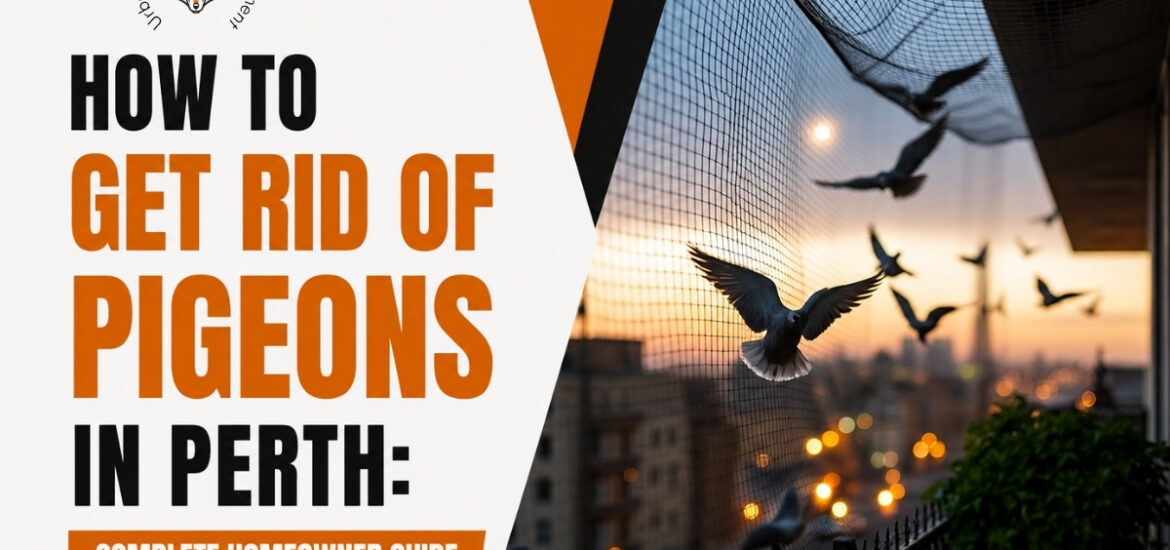 pigeon proofing services