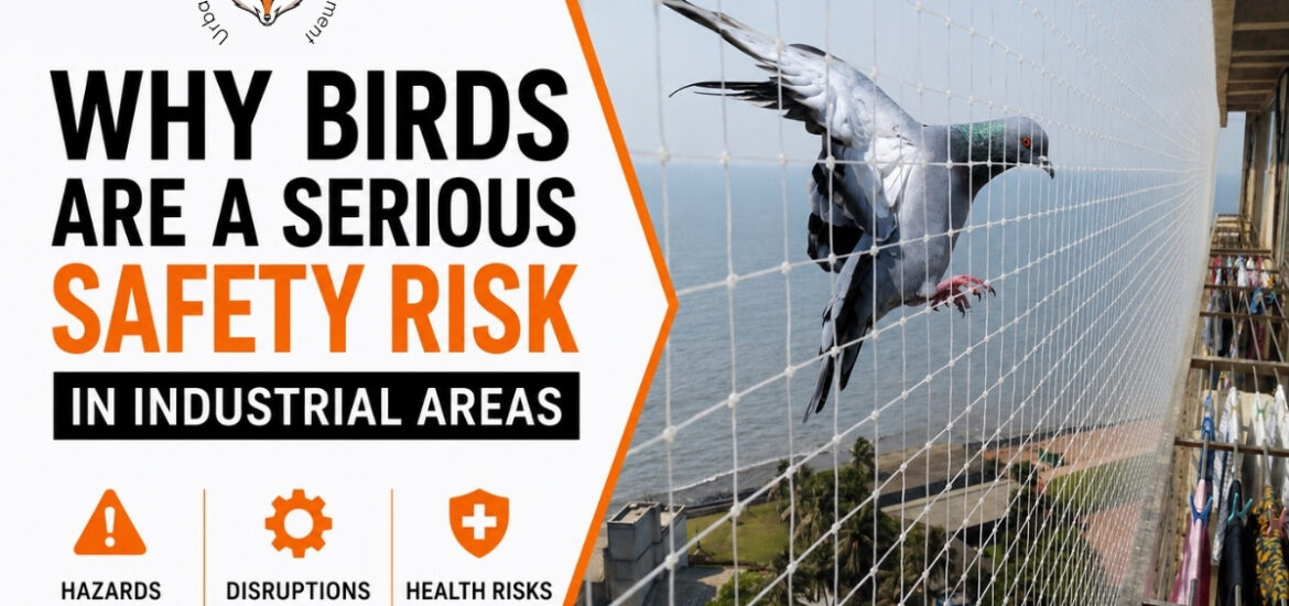 bird control