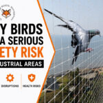 bird control