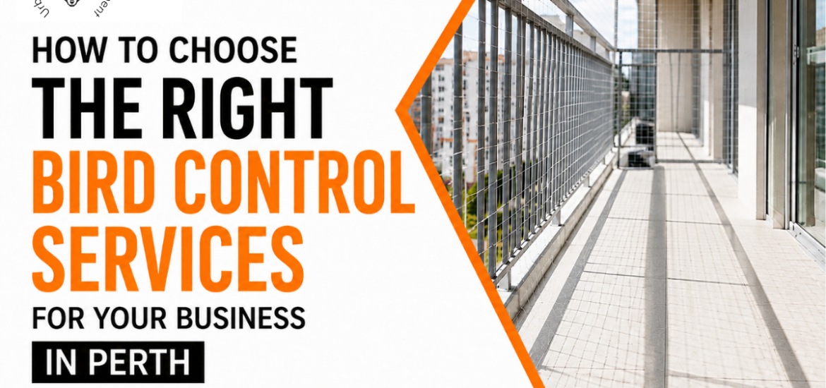 bird control services