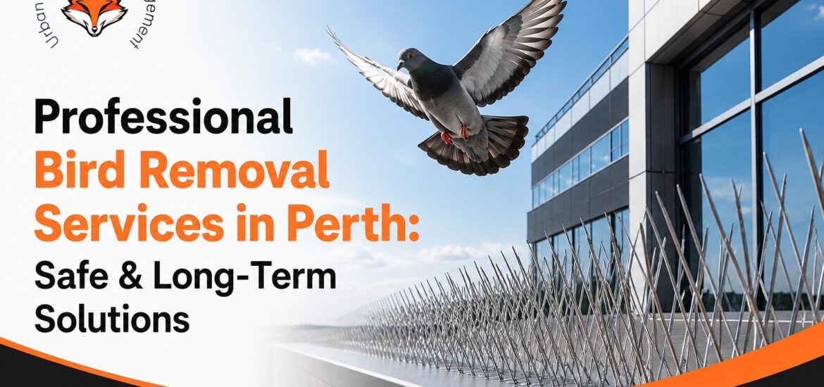 bird removal services