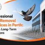 bird removal services