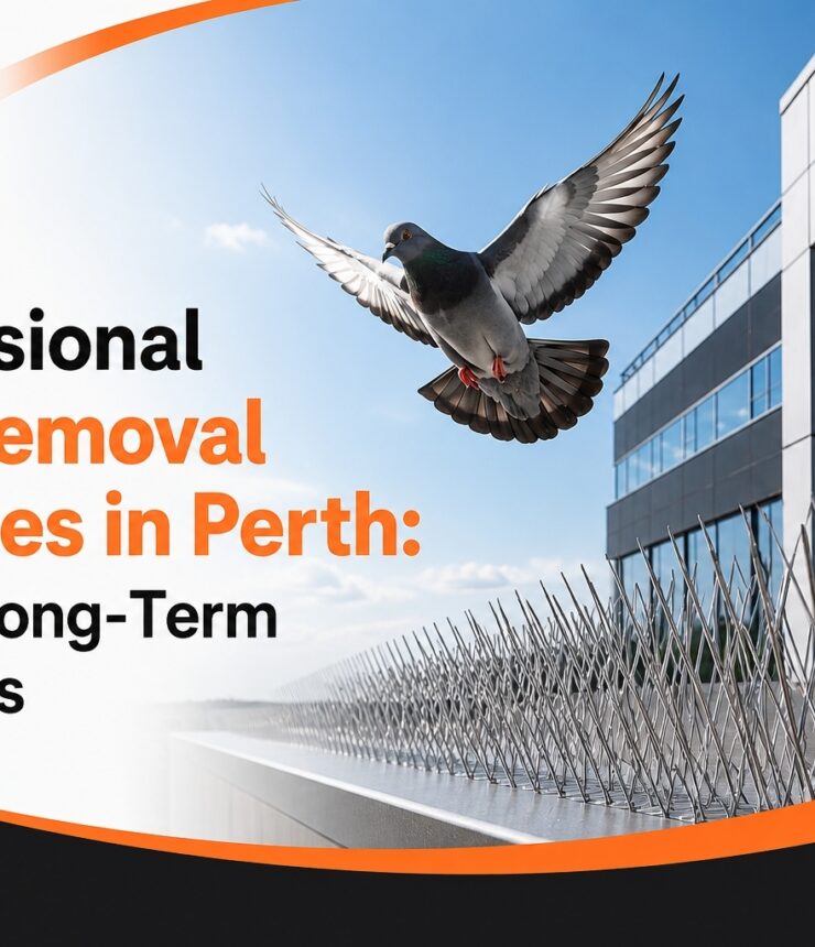 bird removal services