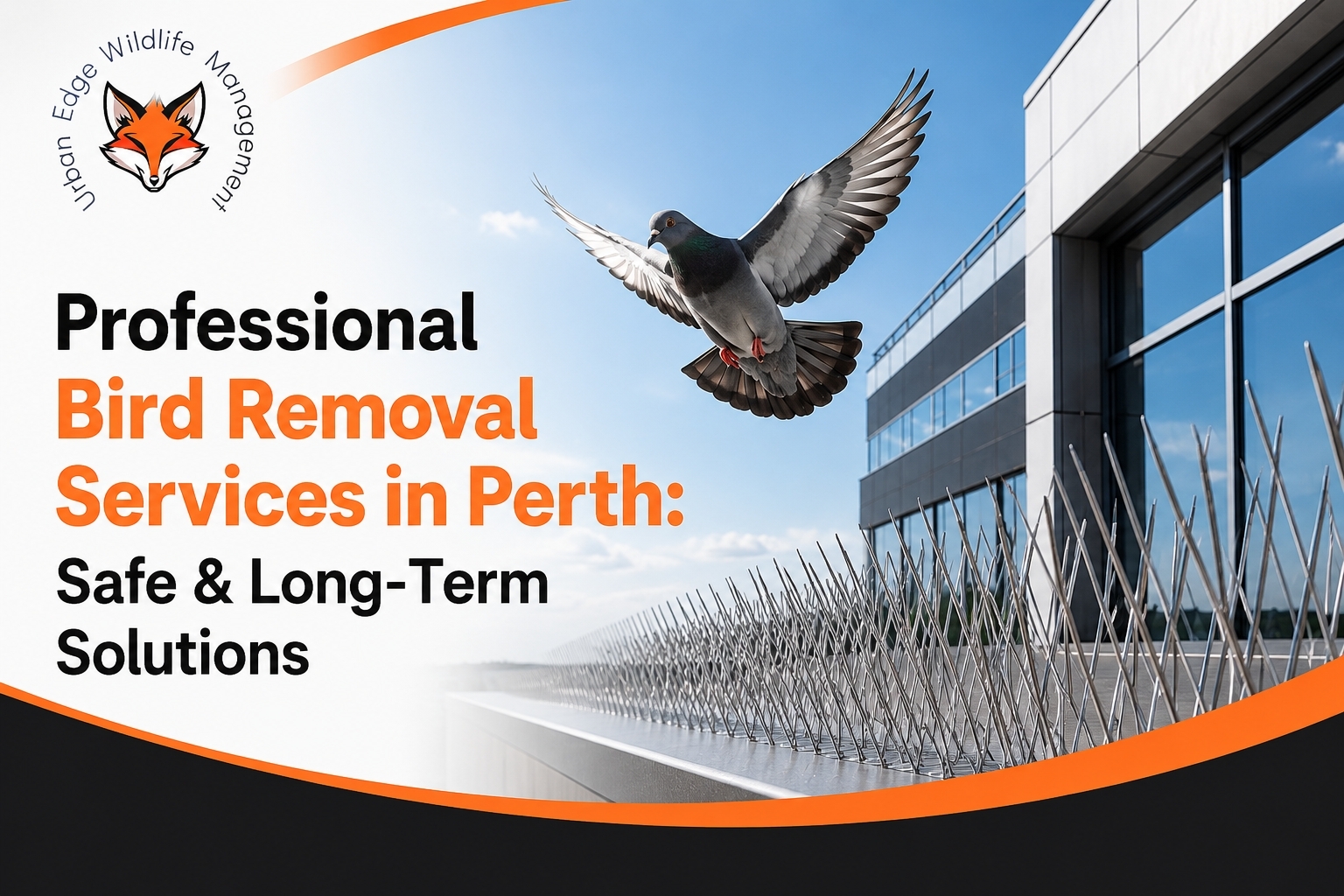 bird removal services