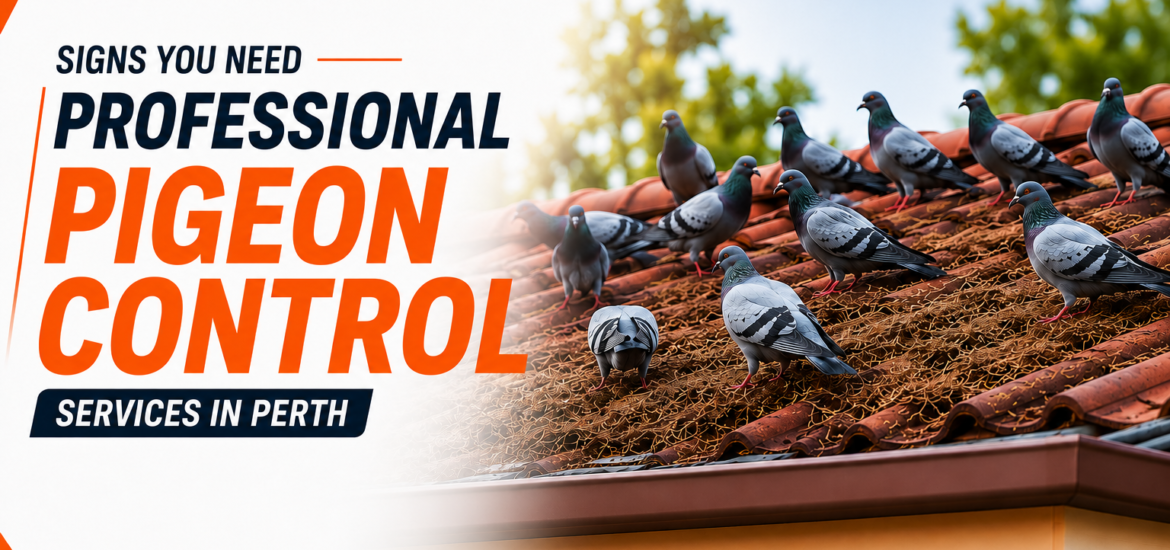 pigeon control