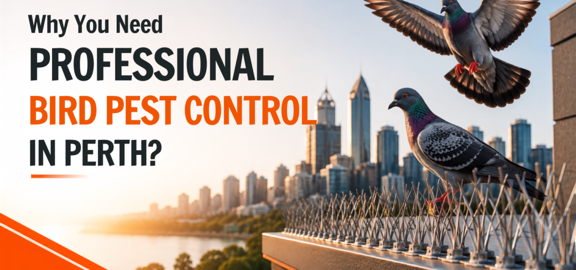 bird pest control