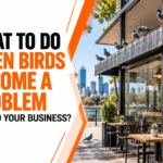Birds Problem