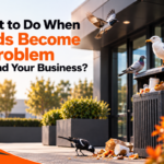 Bird Pest Control Professional wa
