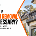 Bird Removal